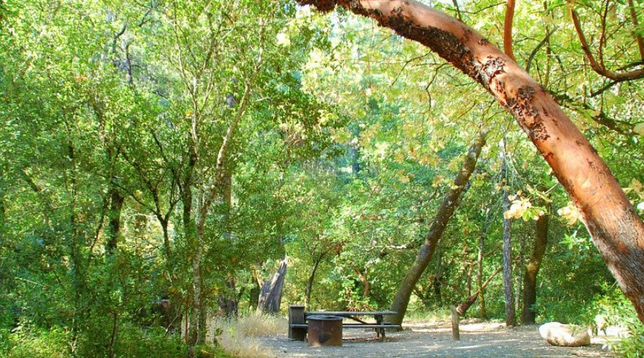 Bothe-Napa Valley State Park, California, USA